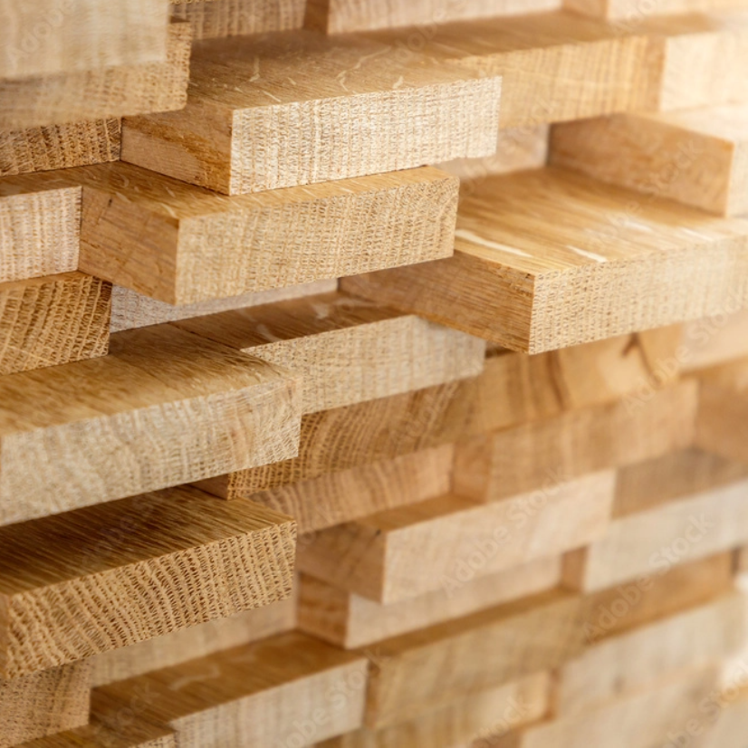Holz - ein moderner Rohstoff